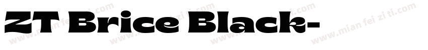 ZT Brice Black字体转换